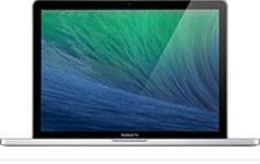 MacBook Pro Retina 13 inch - A1425